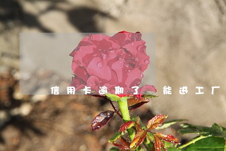 信用卡逾期了 能进工厂吗